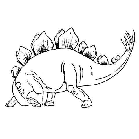 Stegosaurus Looking Back 1641H