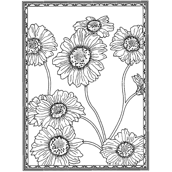 Sunflowers 687N