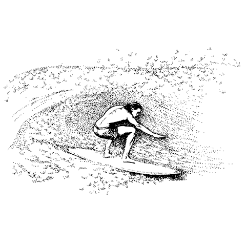 Surfer 1474J