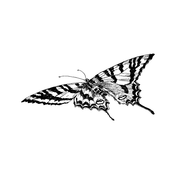 Swallowtail 1321F