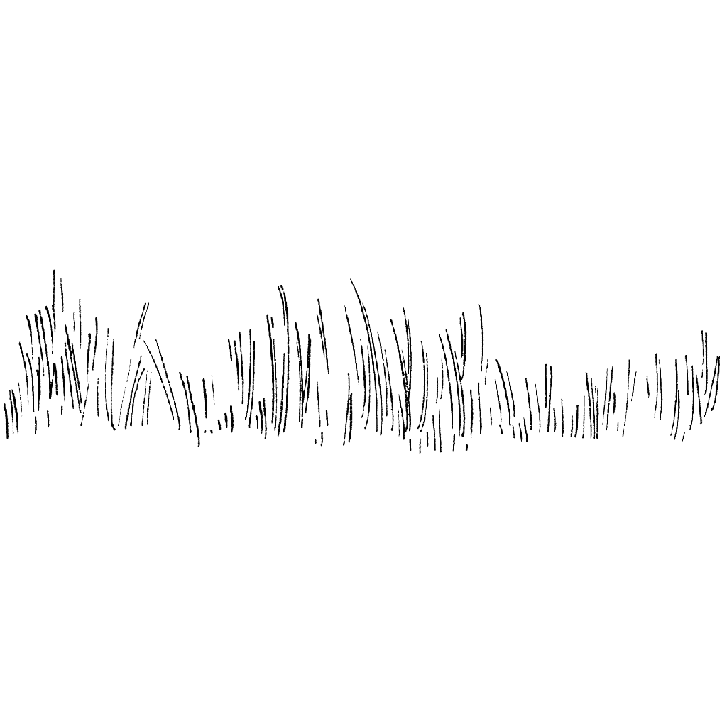 Tall Grass Line 1222H