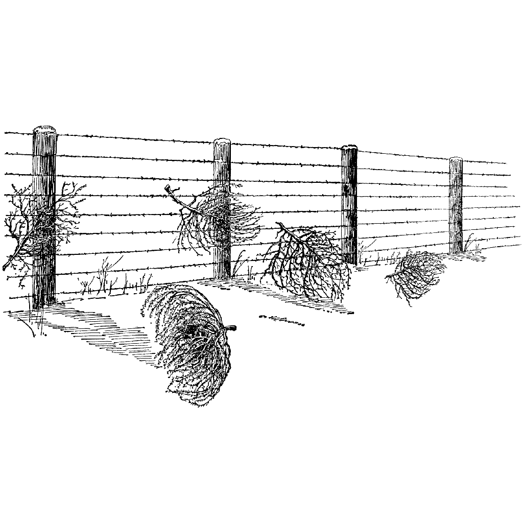 Tumbleweed Fence 1204L