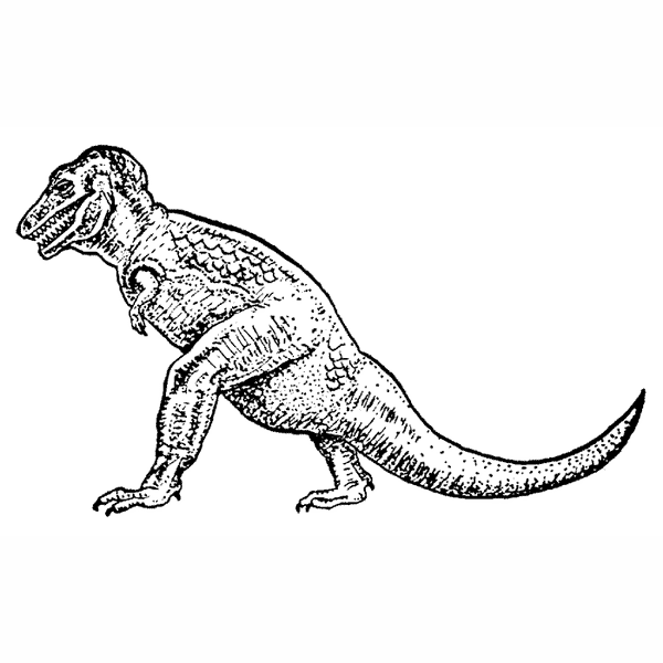 Tyrannosaurus Rex 1644G