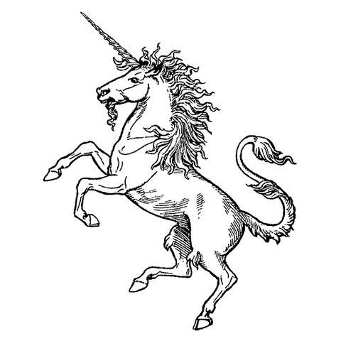 Unicorn 1751J