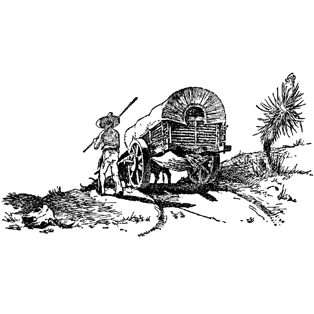 Wagon Train 648K