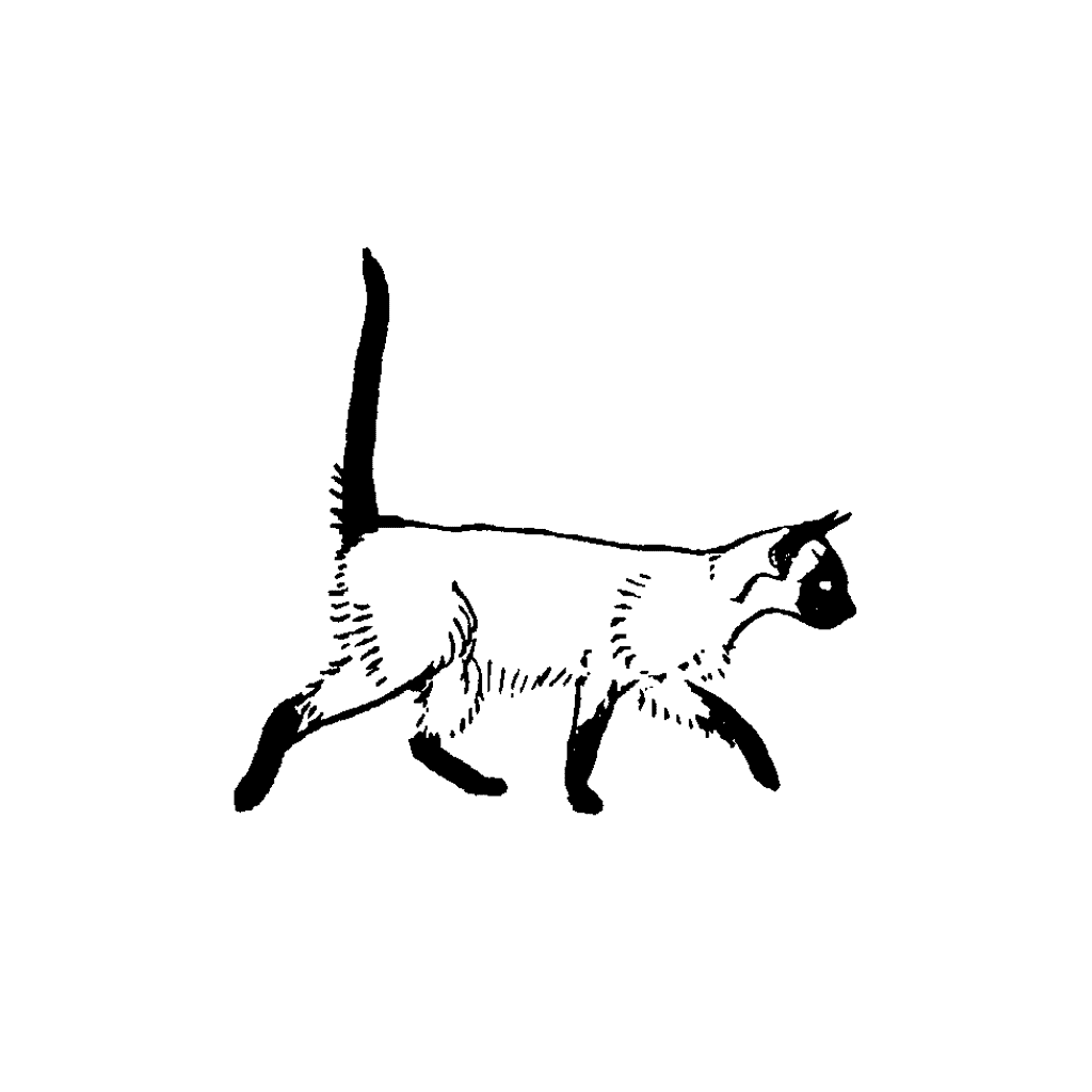 Walking Siamese 267C