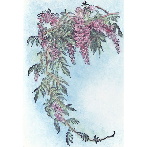Small Wisteria 1182N