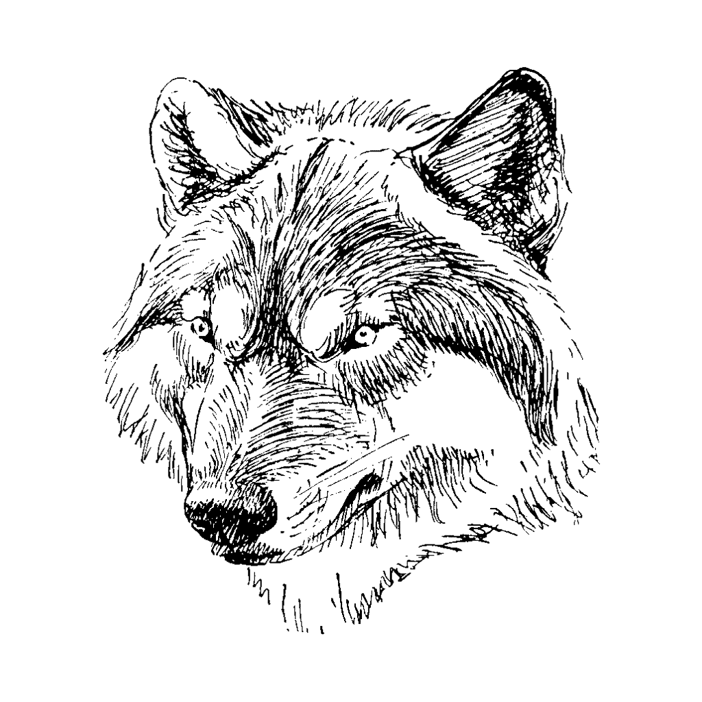 Wolf Face 199G