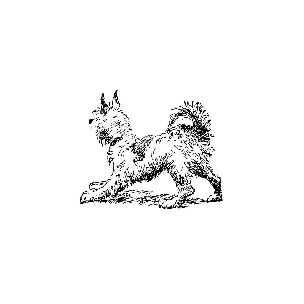 Yippy Dog 1248E